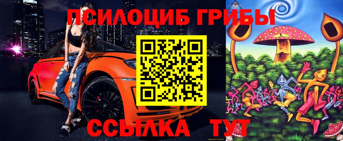 Псилоцибиновые грибы Psilocybe  Вход с VPN  Куйбышев 